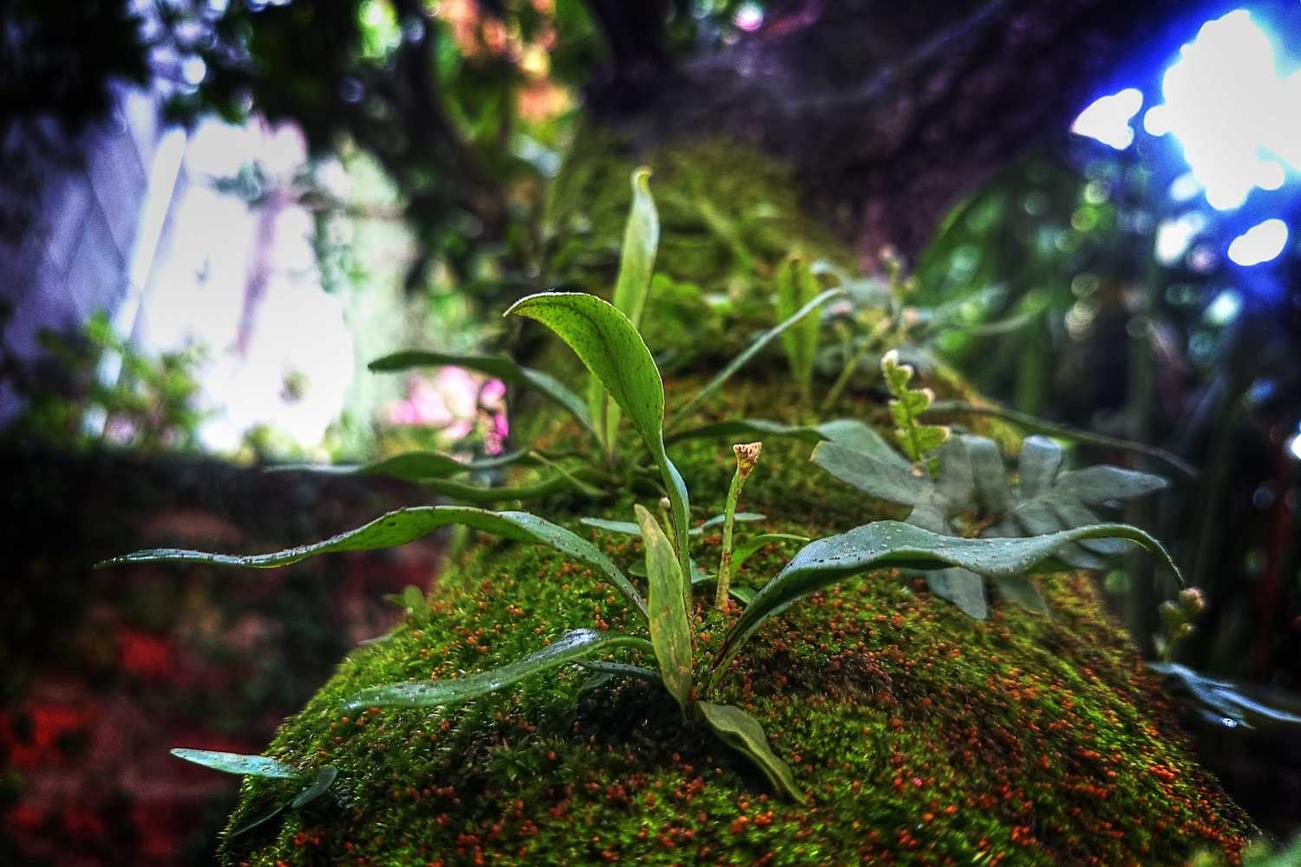 Id et eum ad voluptatem saepe