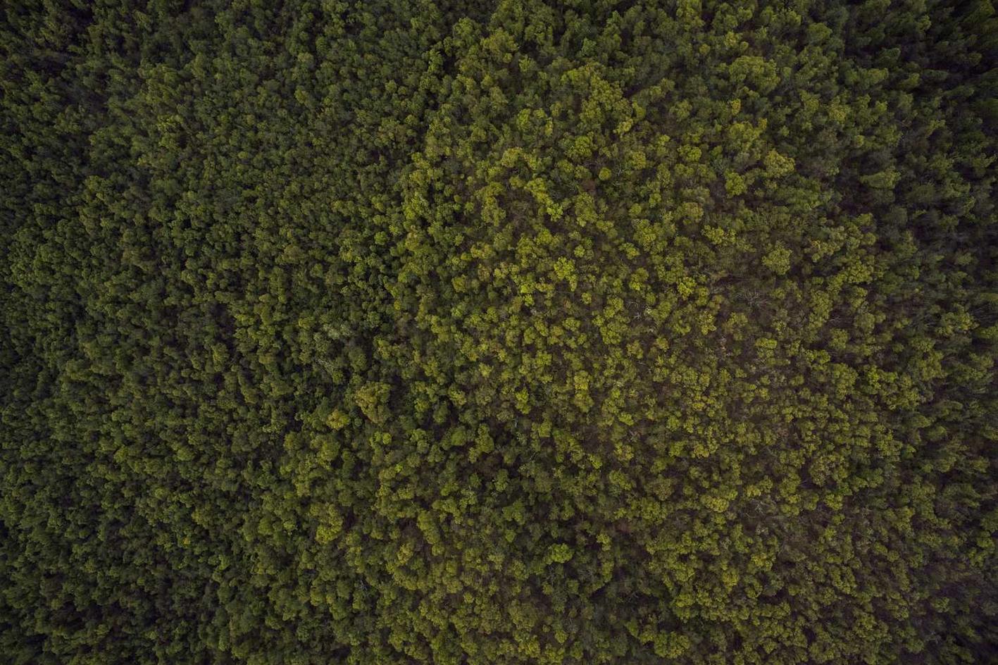 Vero possimus aut vero omnis laboriosam alias saepe nobis qui